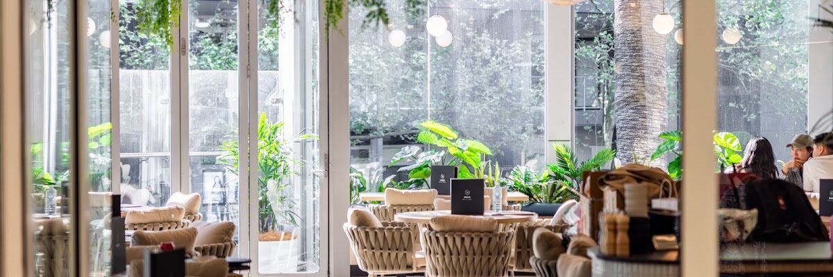 Auvers Dining — restaurant in Rhodes, Sydney