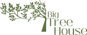 Big Tree House