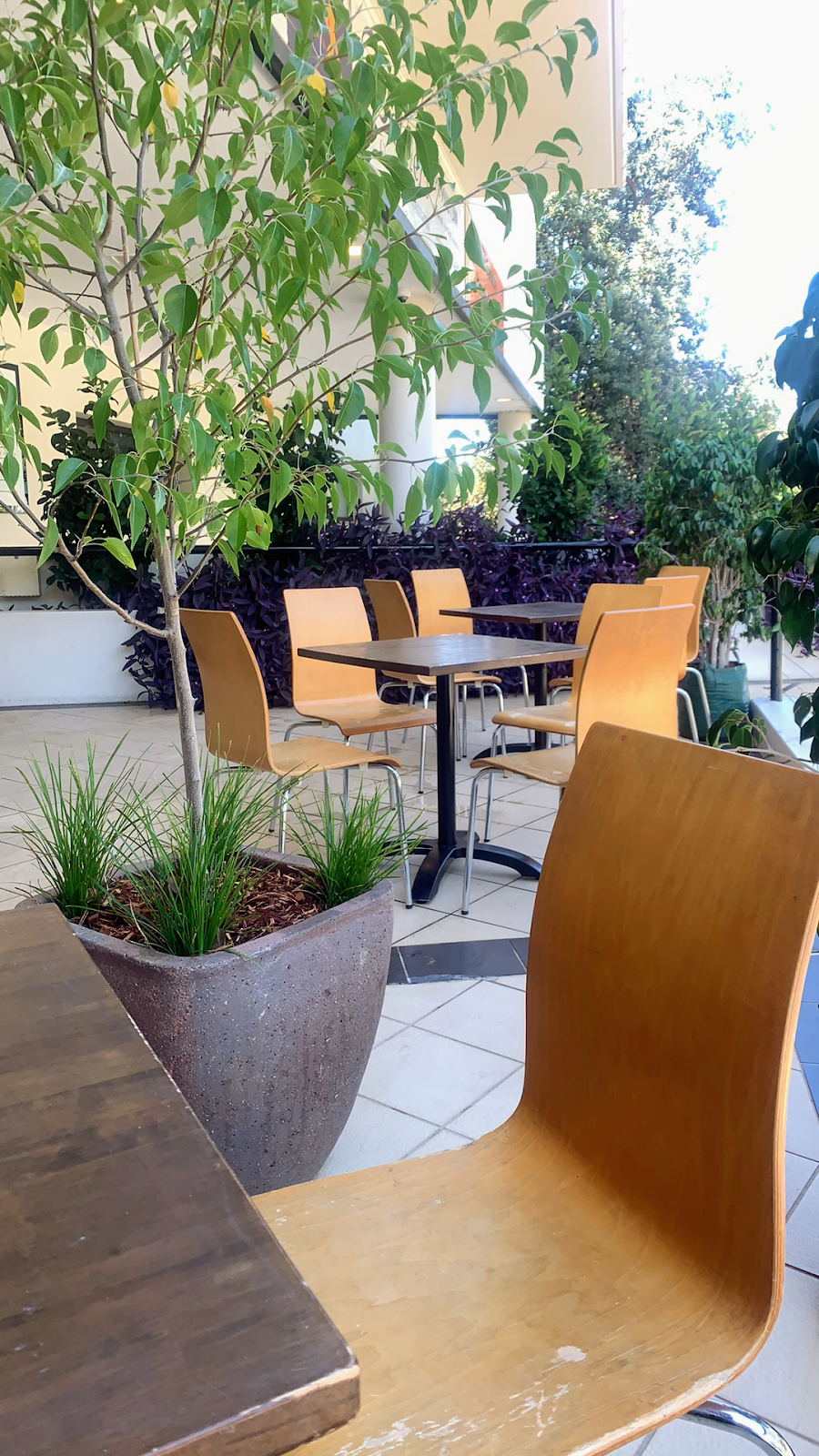 Livoti's Italian Restaurant — restaurant in Dee Why, Sydney