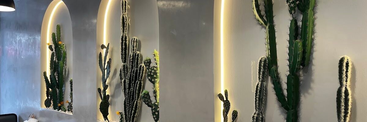 Mira La Vida Mexicana — restaurant in Belmore, Sydney