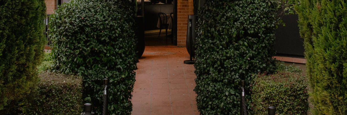 Modo Mio — restaurant in Castle Hill, Sydney