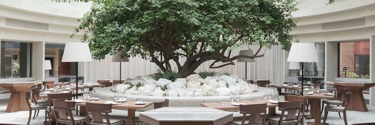 Olympus Dining — restaurant in Redfern, Sydney