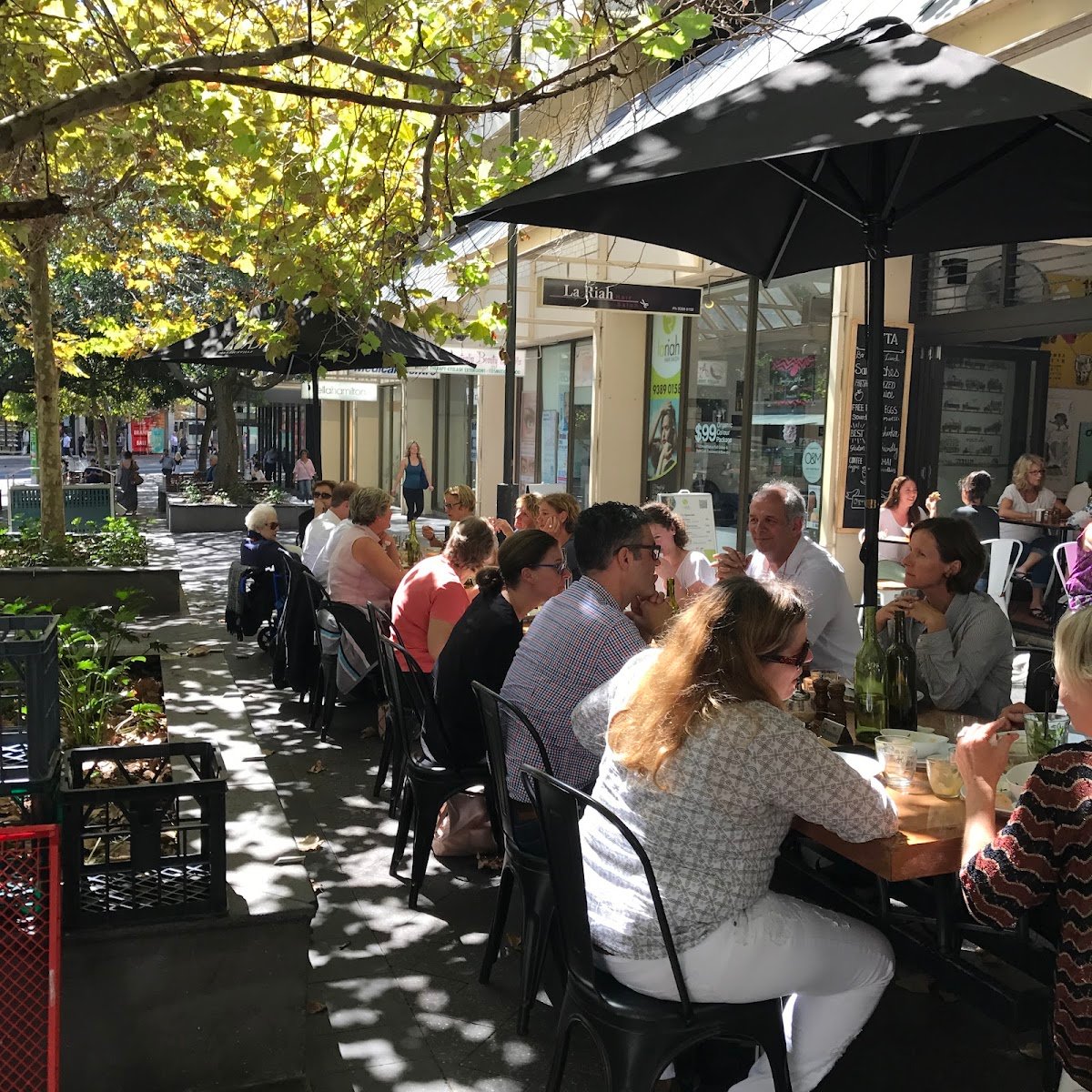 Savta Cafe — restaurant in Bondi Junction, Sydney